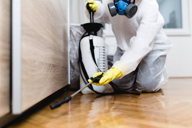 Best Bed Bug Extermination  in Cedar Falls, IA