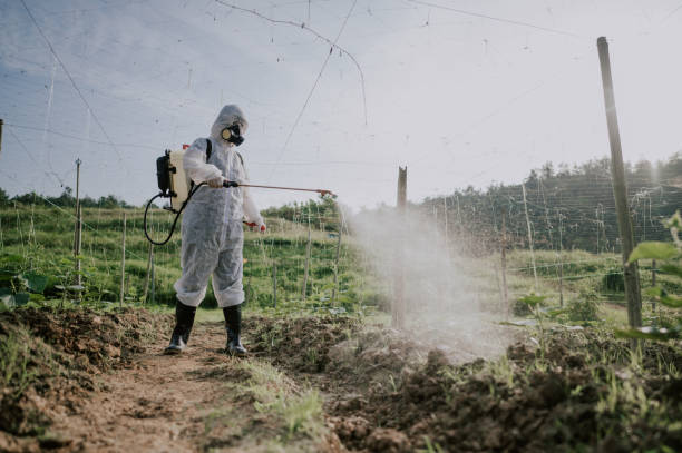 Best Commercial Pest Control Services  in Cedar Falls, IA