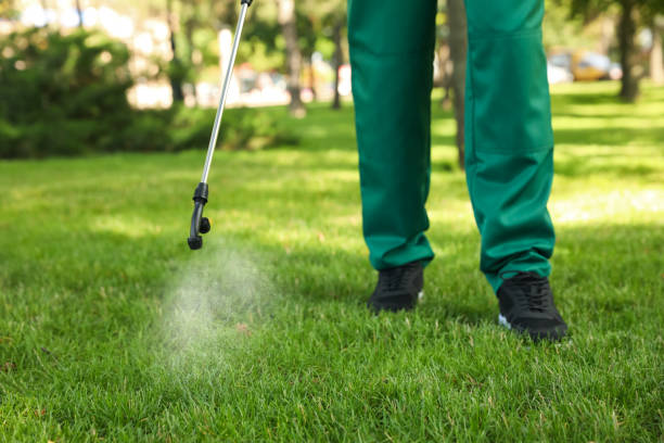 Best Affordable Pest Control Services  in Cedar Falls, IA