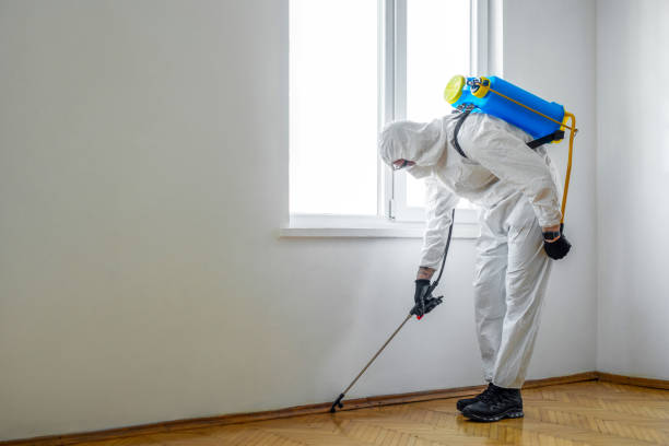 Best Bed Bug Extermination  in Cedar Falls, IA