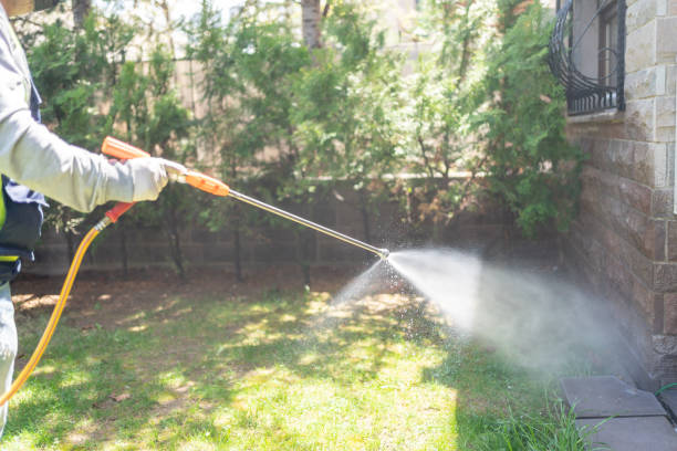 Bird Control in Cedar Falls, IA