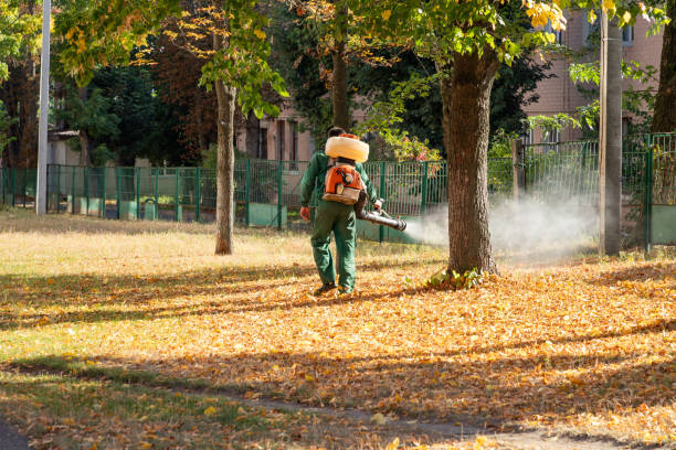 Best Local Pest Control Services  in Cedar Falls, IA