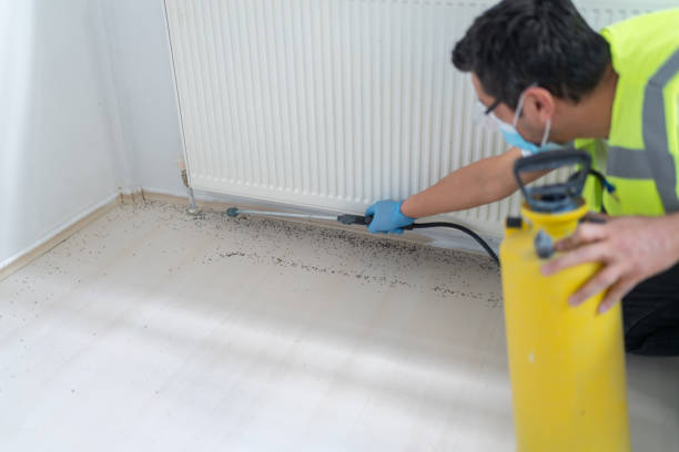 Best Wasp Removal Services  in Cedar Falls, IA