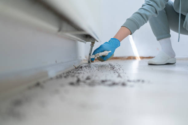 Best Wasp Removal Services  in Cedar Falls, IA